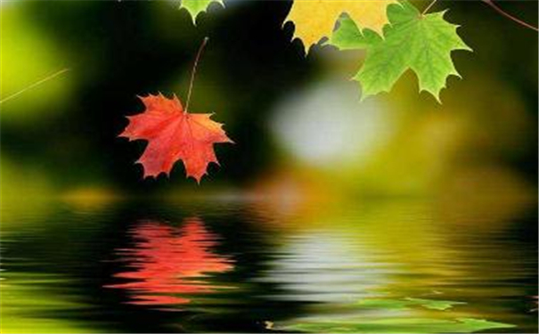 ���ӷ�������̫�ͻ����� ���������ʦ��ô˵