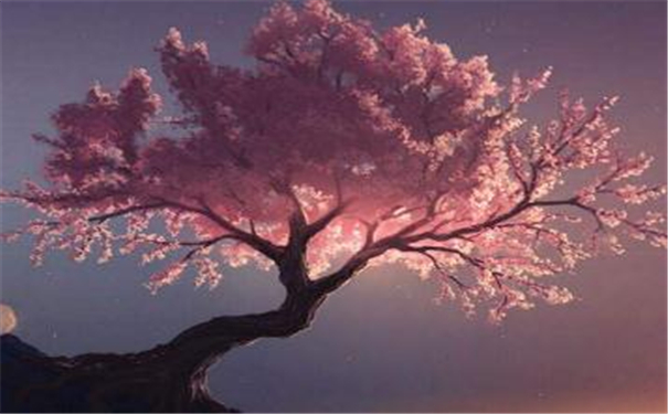 ���ַ���������� ��ͬ�ķ����߲�ͬ��