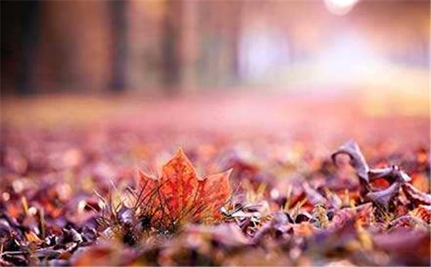 �������������ȫ �Ͻ���������