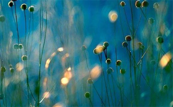 Ů�˲��һ����������