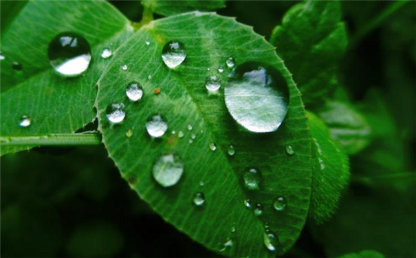 ������� ������3����λ���ܿ�����Ĳ���