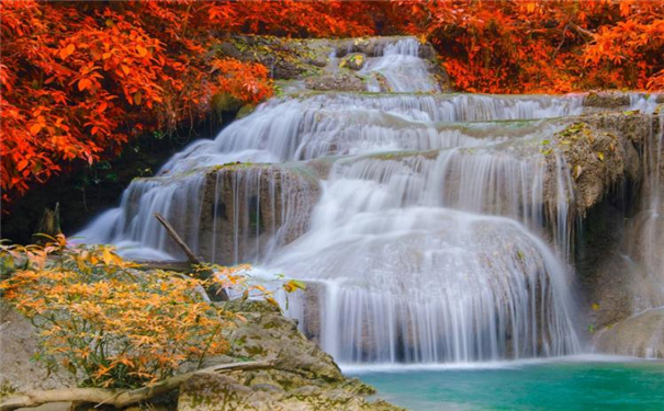 ���ร���������