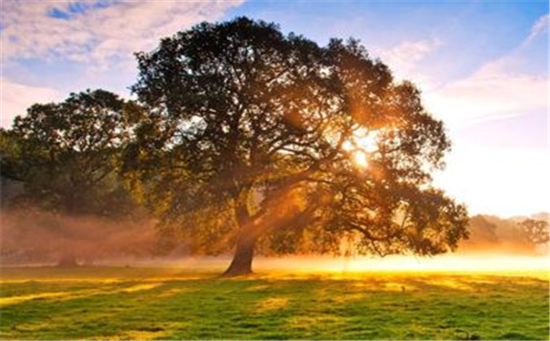 Ů�������һ������������