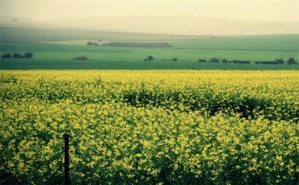 ����ƤС�۾������������  ��˵�Ĳ��㿴����ʦ˵��