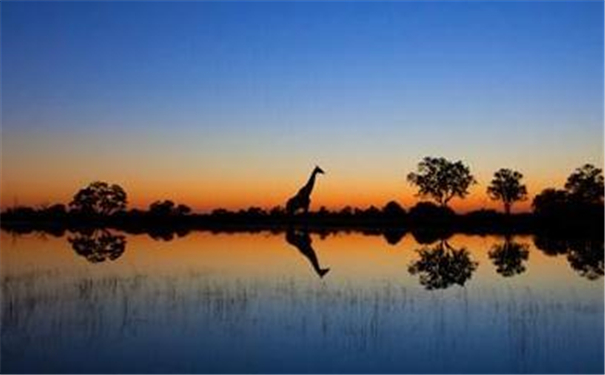 ����ͷ��Ҫ�� ���Ǵ�ʦ˵���׳�������