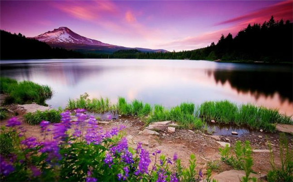 ������С�������