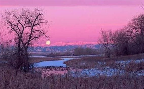 Ů����Բ���������