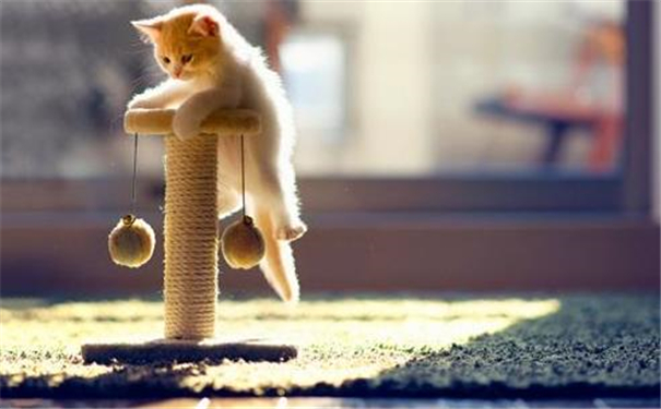 ����������������