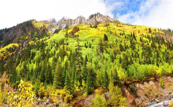 ӡ�÷����������