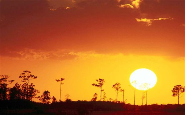 气场强大之人面相图解