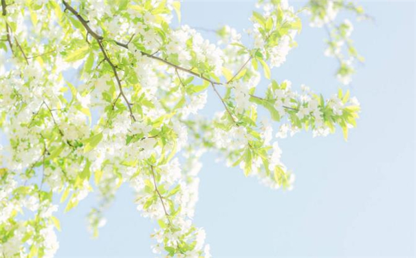 Ů���۾���С�������