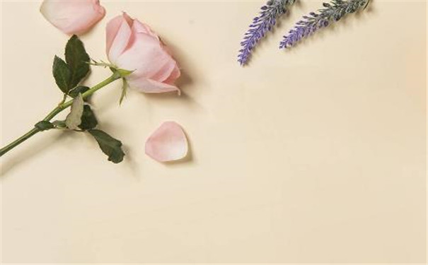 ���˰���ü�������