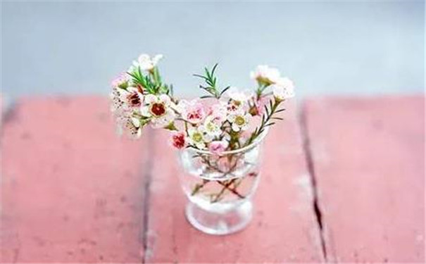 Ů�˱���С�������