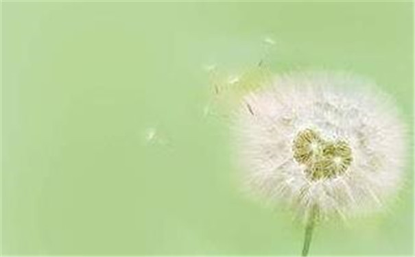 ���ֶ�ͷ�������