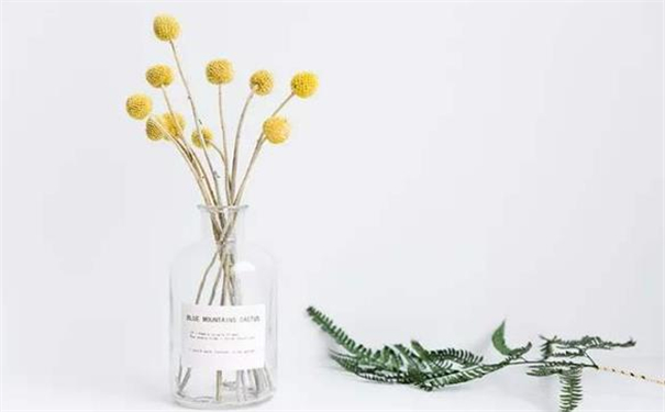 ������������������