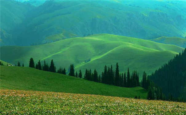 ������ο����˱�������