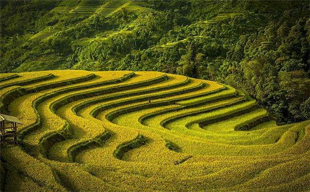 手掌纹横纹