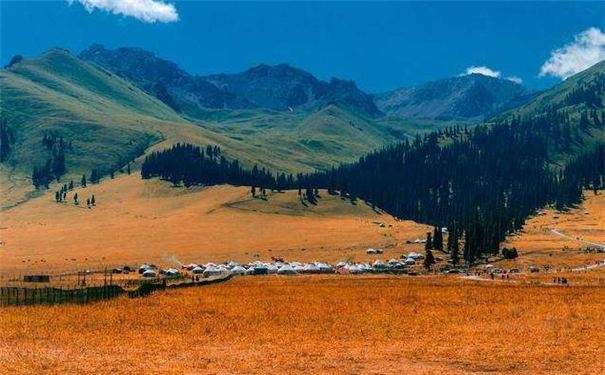 ��Ұ�ĵ����࣬��ҵ���Ʋ���