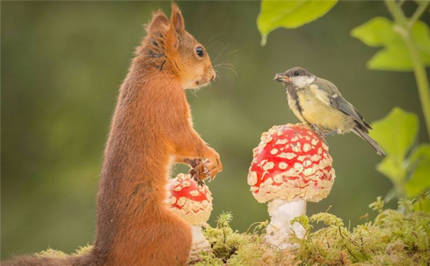 �Ը�Ե������࣬���Ʒ�չ����