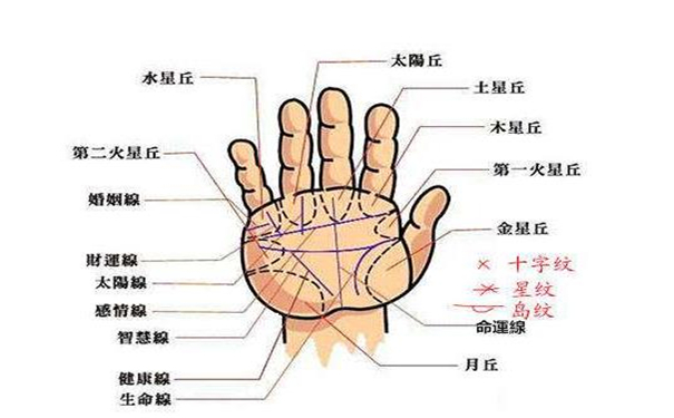 聚财的手相