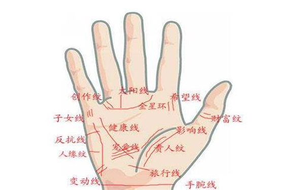 手相三条线