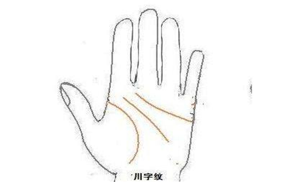 为什么川字掌的人很少
