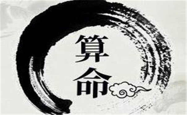 专一男人八字