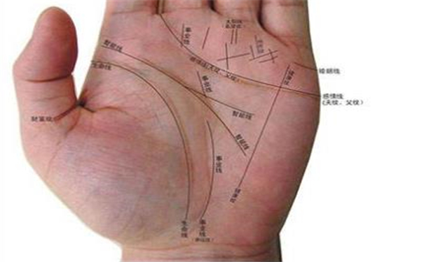 手相元宝纹图解三角图片