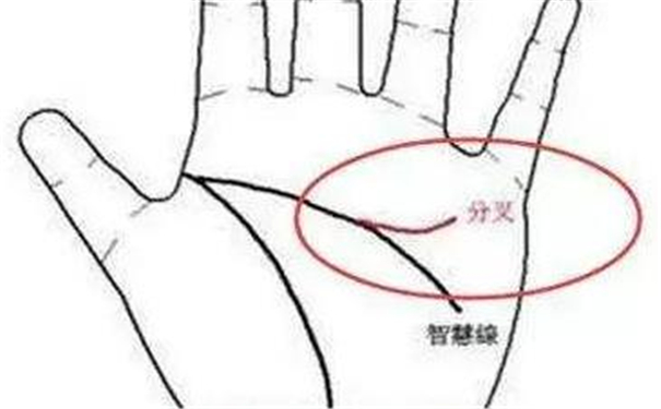 智慧线短