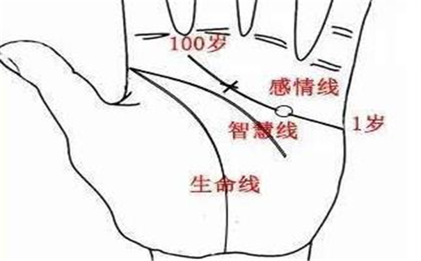 命运线止于感情线