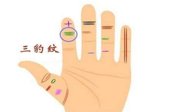 三豹纹