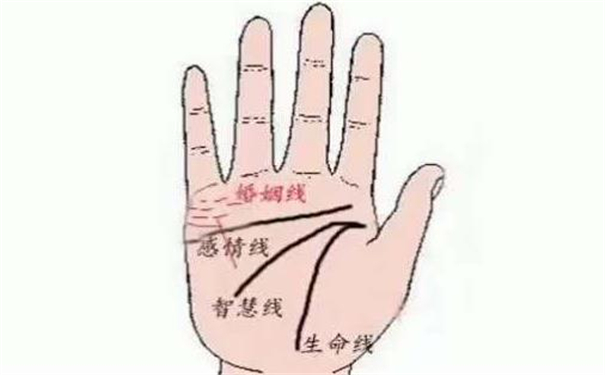 克父命的手相