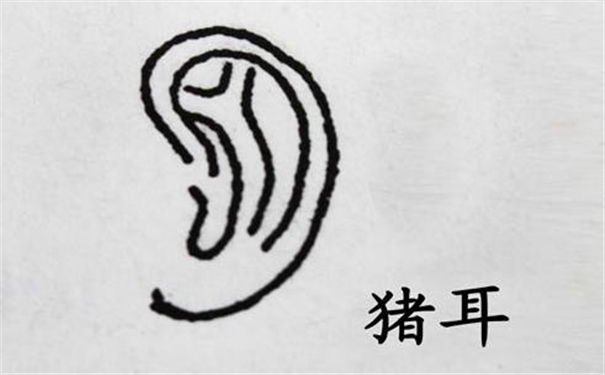 ��ʦ����ͼ���������������