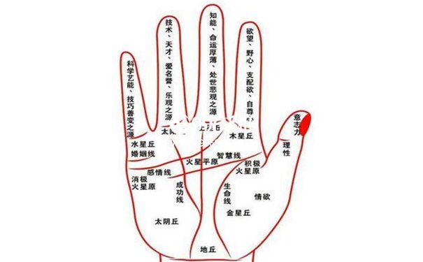 男生手相婚姻
