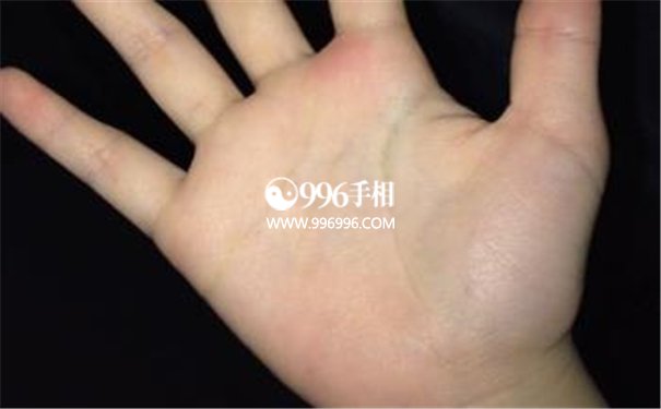 成功女人手相