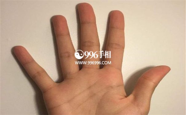 手相手指