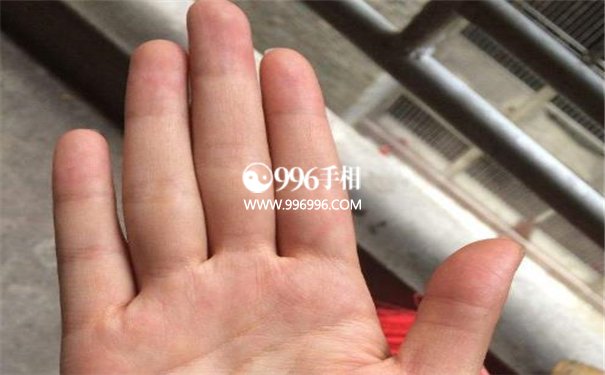 手相手指