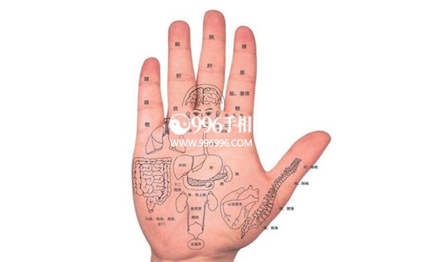 心善的手相