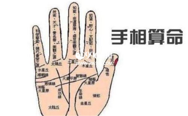手相灾祸