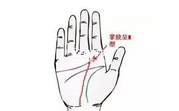 m掌纹女人