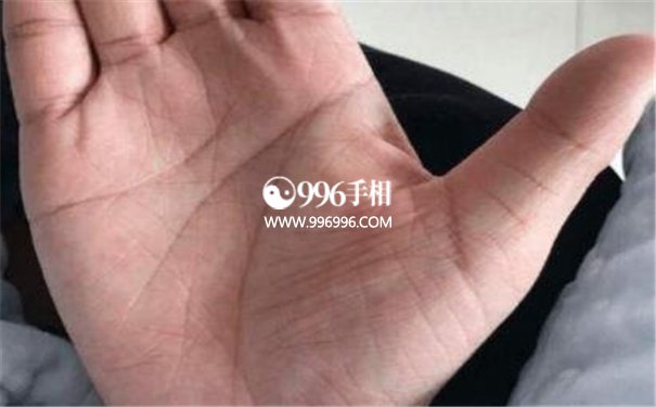 公务员的手相