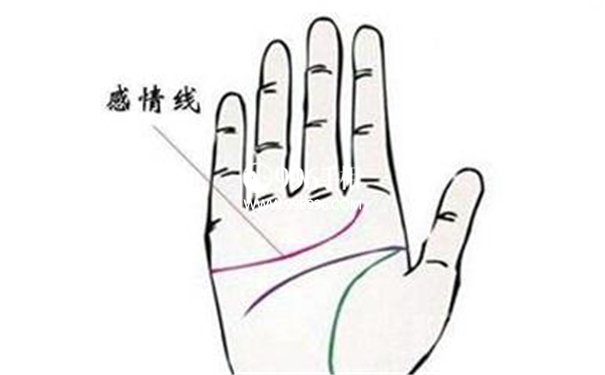 教你看手相