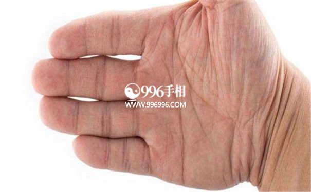 大汉手相学