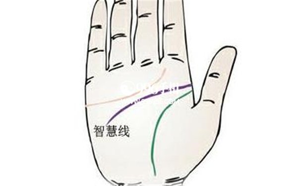 嫁得好的手相