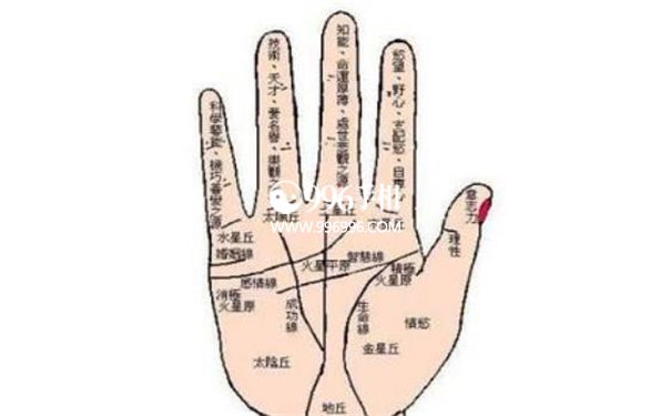 看破财手相