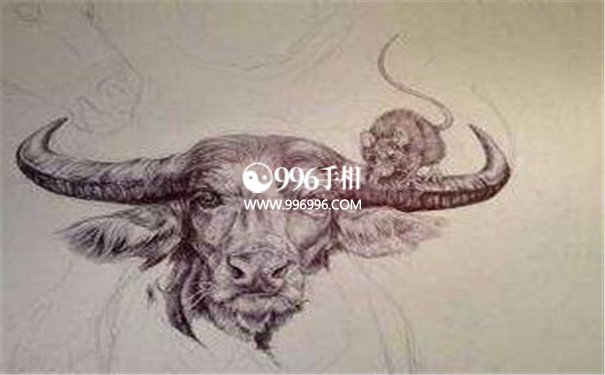 纵欲的生肖
