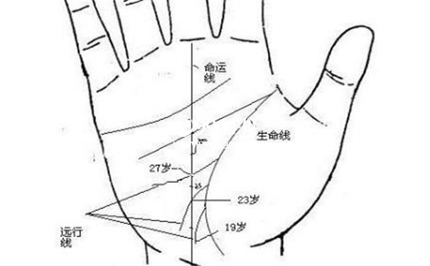 掌纹很乱