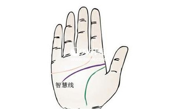 招财手相