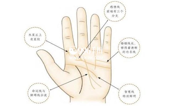 指节纹手相