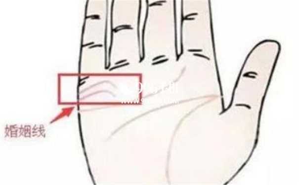 婚姻线分叉
